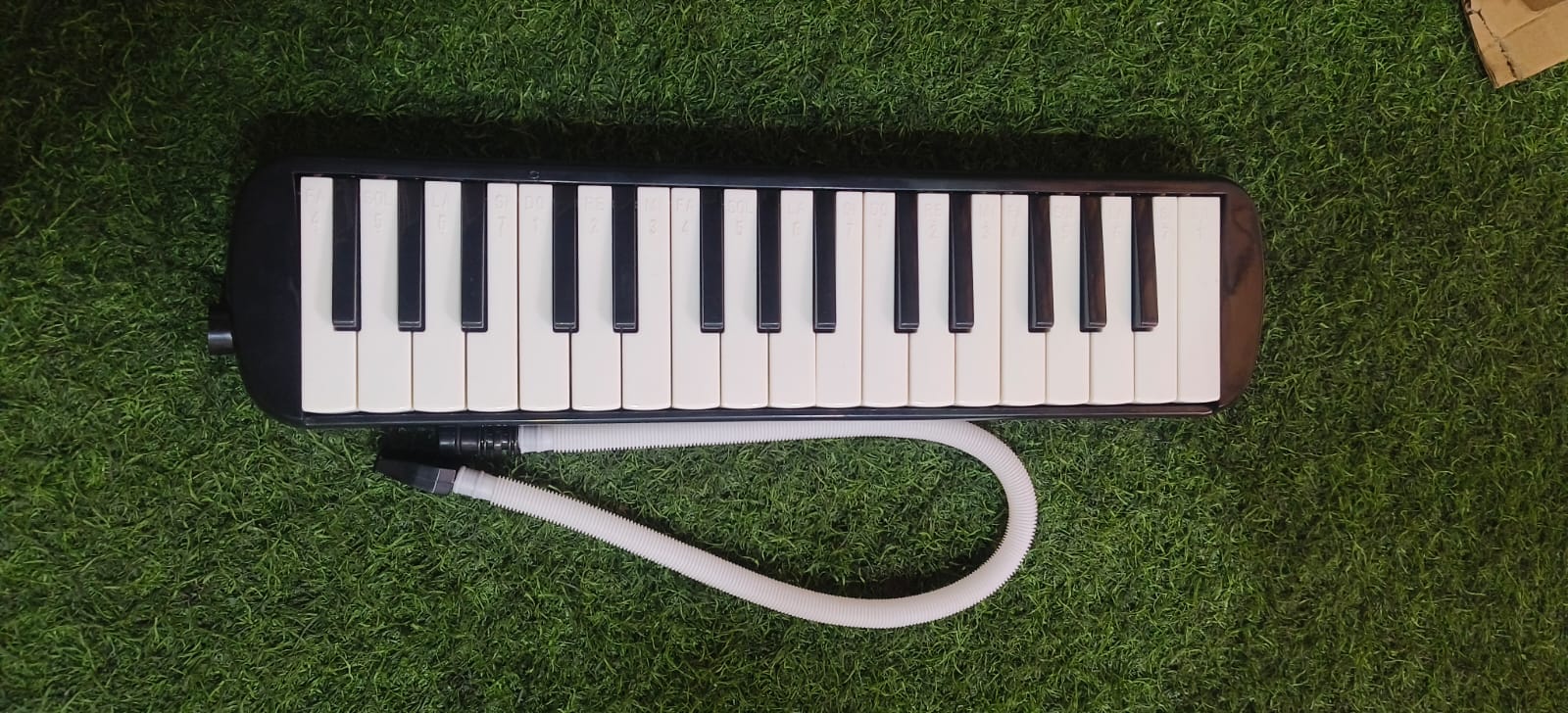 Portable Travel Harmonium